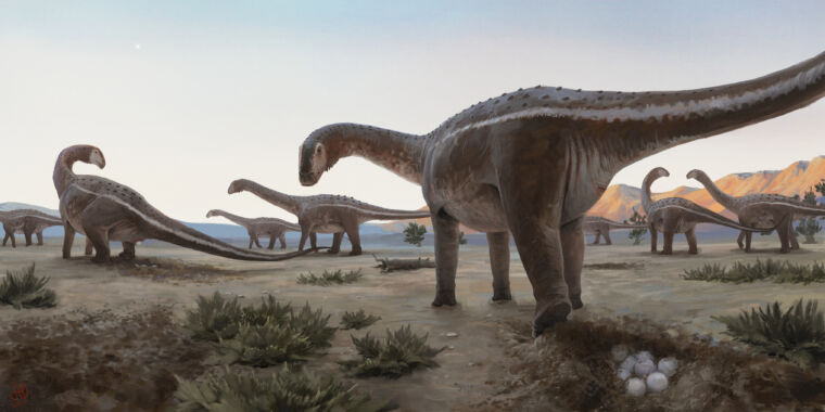 Punto de anidación del Titanosaurio encontrado en Brasil
