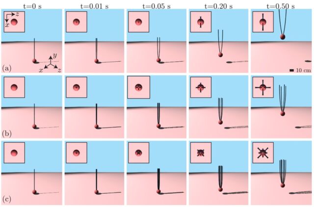 Le processus de ballonnement tel que décrit dans une nouvelle simulation numérique 3D pour une araignée utilisant (a) deux fils, (b) quatre fils et (c) huit fils.