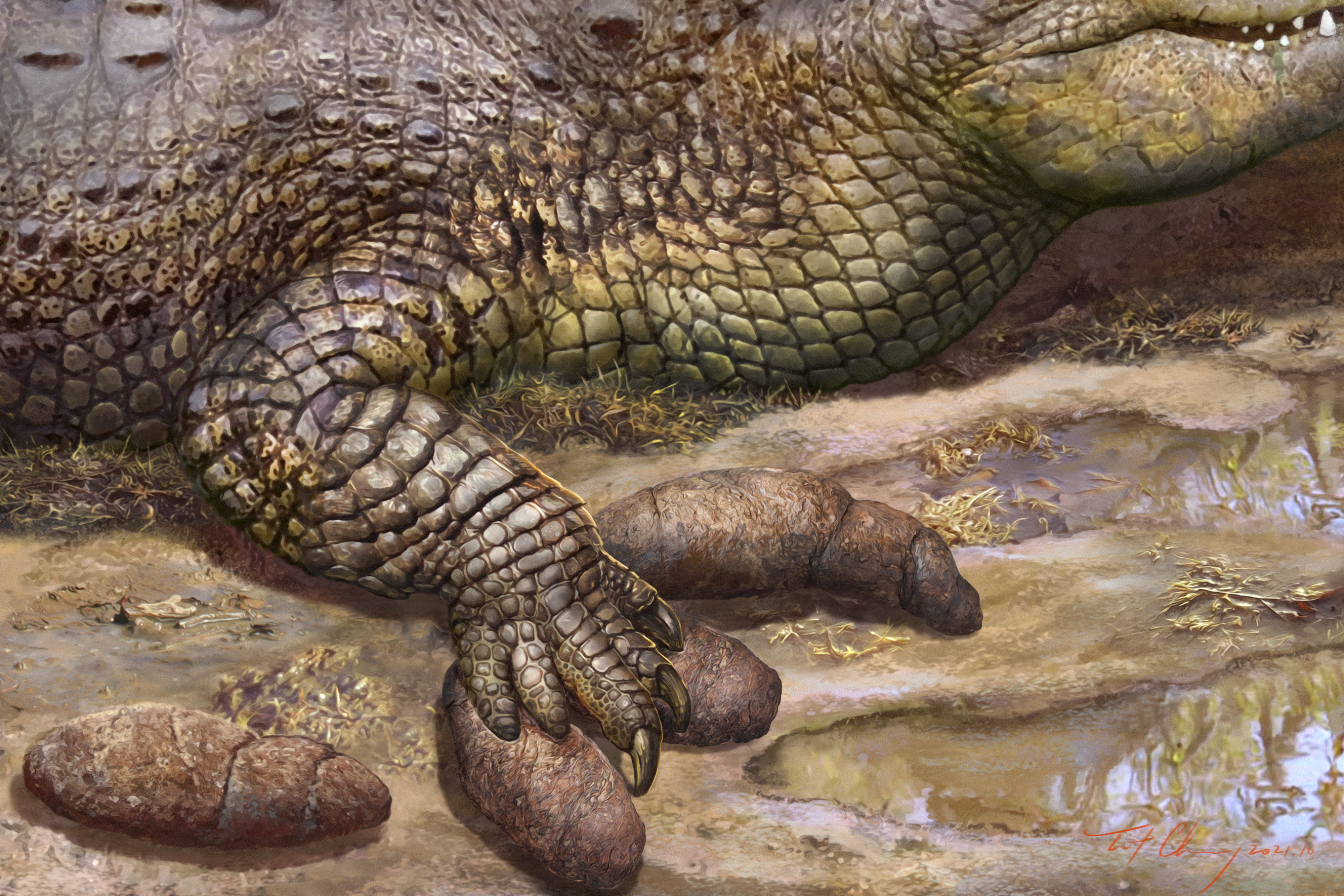Жизнь миллион лет назад. Ископаемые крокодилы. Крокодил миллион лет назад.