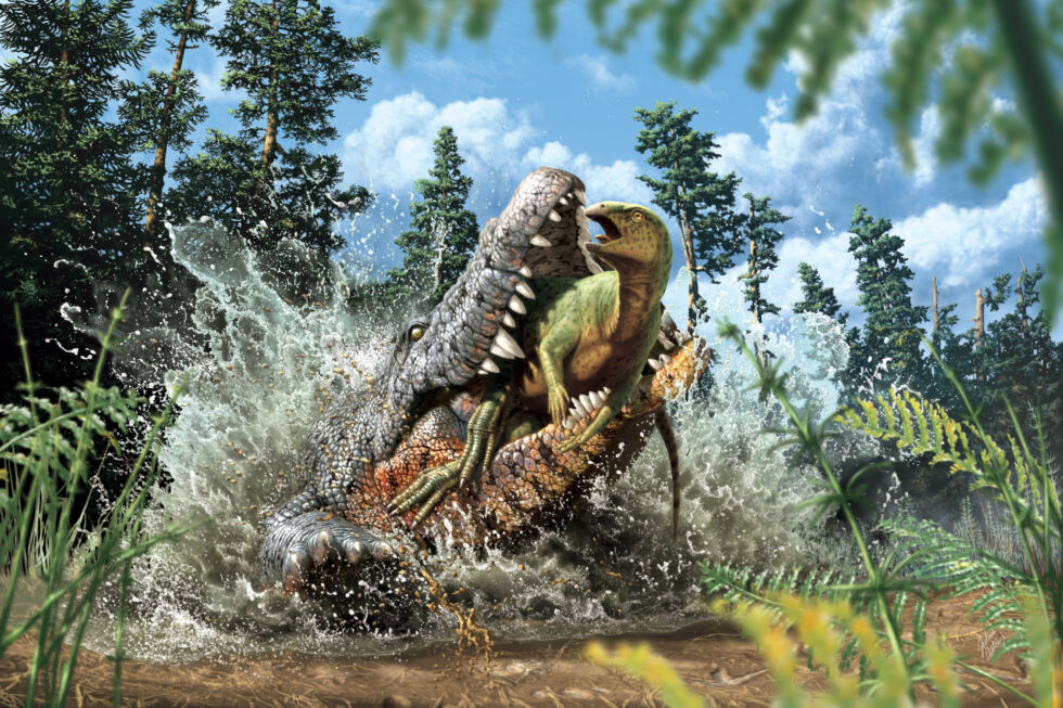 Reconstruction of a<em> Confractosuchus sauroktonos </em>as it devours an ornithopod.