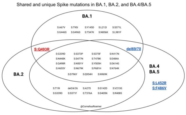 Um diagrama de Venn de mutações de pico entre variantes omicron BA.1, BA.2 e BA.4/5.