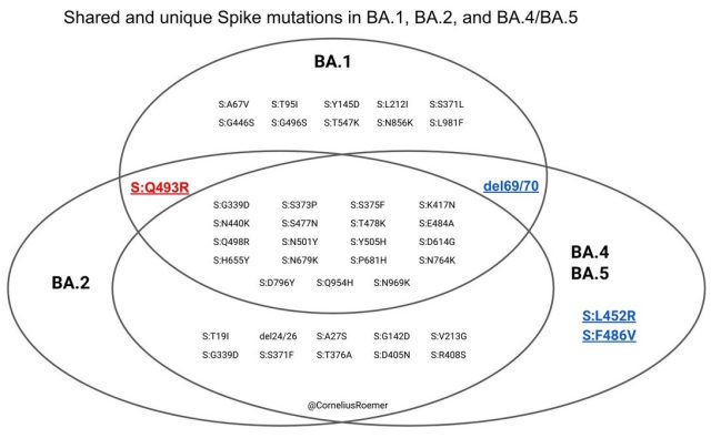 BA.1, BA.2, এবং BA.4/5 এর মধ্যে ওমিক্রন ভেরিয়েন্টের মধ্যে স্পাইক মিউটেশনের একটি ভেন ডায়াগ্রাম।