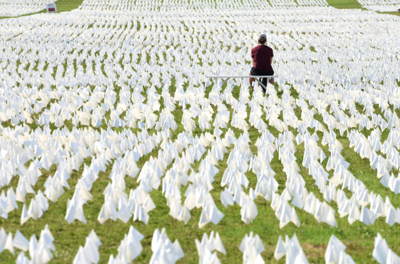 A woman watches white flags on the National Mall on September 18, 2021 in Washington, DC. Over 660,000 white flags were installed here to honor Americans who have lost their lives to COVID-19 epidemic.