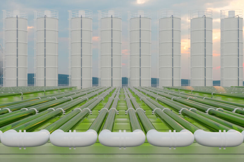 Image of a facility filled with green-colored tubes.