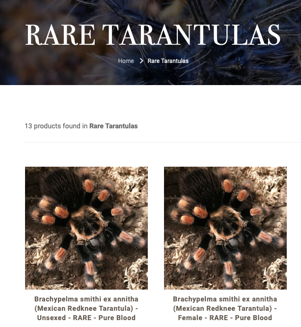 Image of a website that has a specific category for selling rare insects.