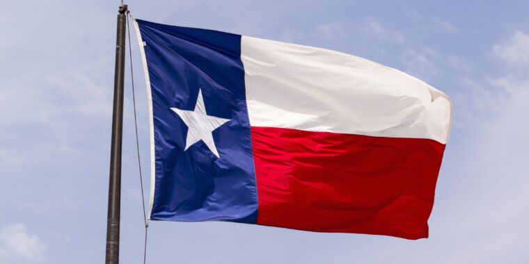 A federal appeals court has reinstated a Texas state law that bans 