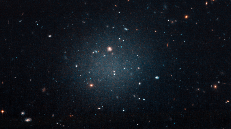 The dark matter-poor galaxies are so diffuse that you can see right through them.