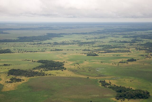 This is what the Llanos de Mojos in northern Bolivia looks like today. 