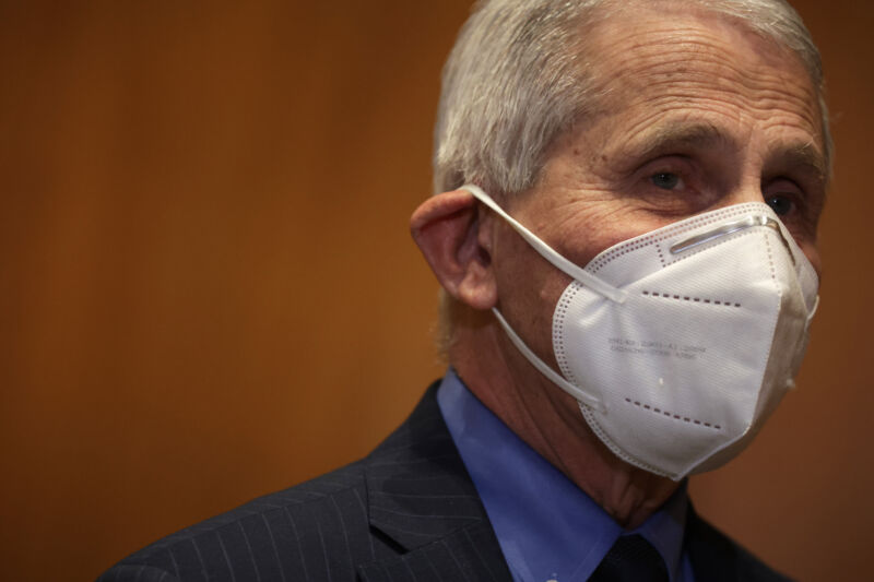 Director of National Institute of Allergy and Infectious Diseases Anthony Fauci at Dirksen Senate Office Building on Capitol Hill May 17, 2022 in Washington, DC.