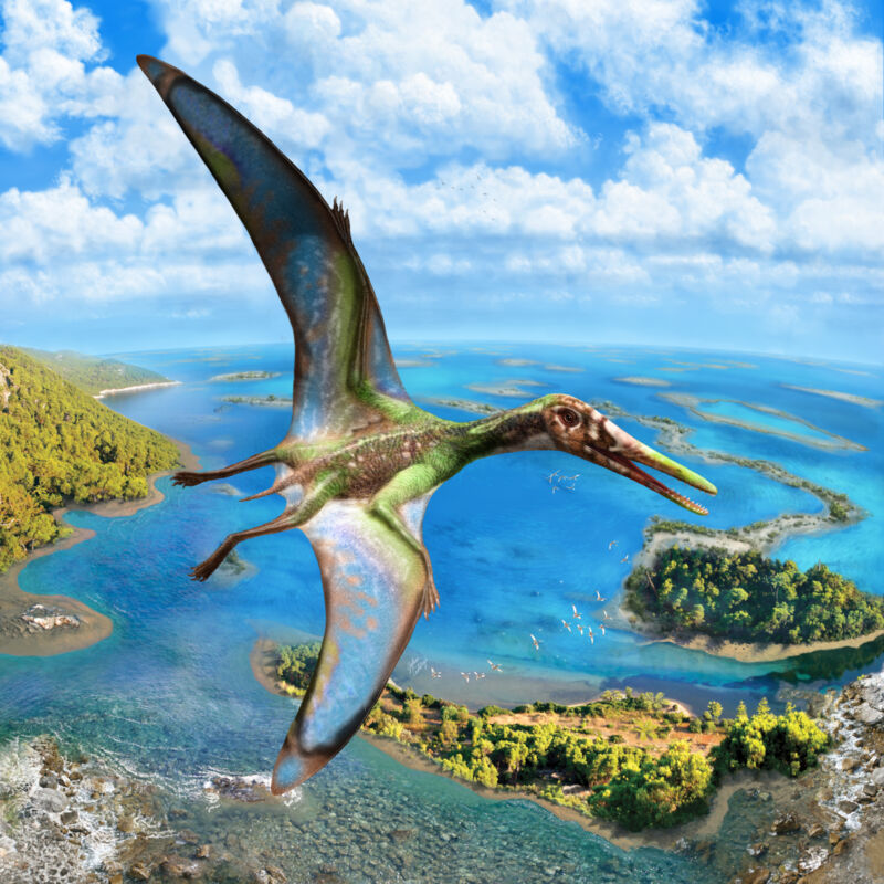 Physics Meets Paleontology: Mechanics very controversial of the flight of pterosaurs