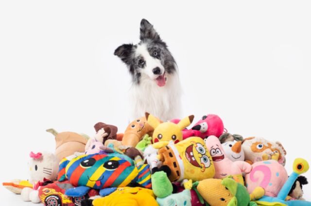 This very good boy named Max happily poses with a collection of toys.
