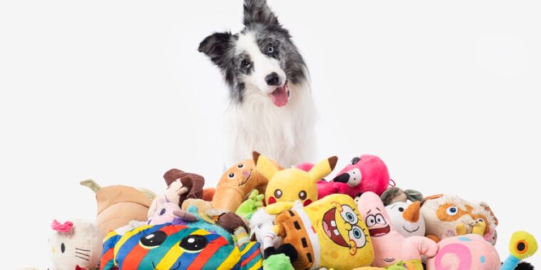 Study sheds light on how dogs recognize their favorite toys thumbnail