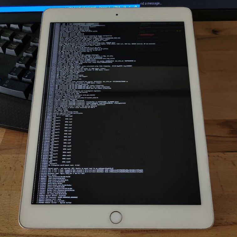 Linux booting up on an old iPad Air 2. 
