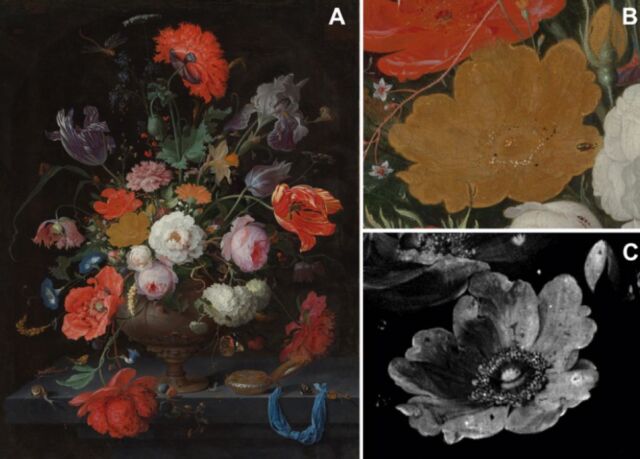 Pigment degradation in the yellow rose of Abraham Mignon's <em>Still Life with Flowers and a Watch</em>. (a) The full painting; (b) detail of the yellow rose; and (c) elemental distribution image of arsenic.