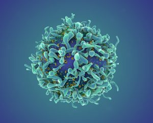 Breakthrough: Cancer Therapy CAR T Now Targeting Autoimmune Diseases in Hundreds of Trials