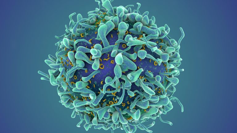 Listing image for first story in Most Read: A revolutionary cancer treatment could transform autoimmune disease