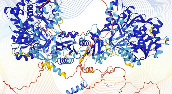 DeepMind research cracks structure of almost every known protein