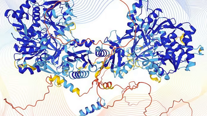An image released by the EMBL’s European Bioinformatics Institute showing the structure of a human protein that was modeled by the AlphaFold computer program. 