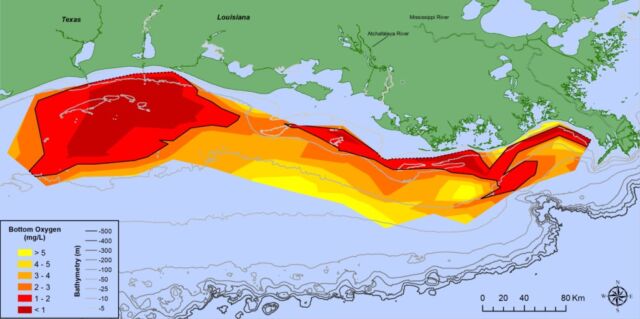 The Gulf of Mexico hypoxic (dead) zone in 2021, which measured 6,334 square miles (16,400 square kilometers). Lower values represent less dissolved oxygen in the water.