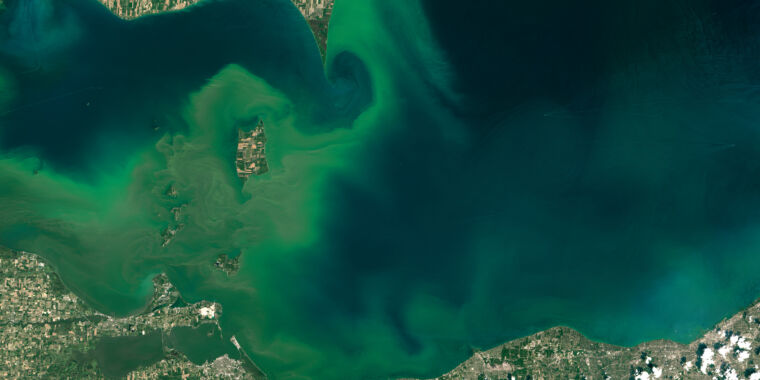 To reduce algal blooms and dead zones, we need a strategy for farm pollution