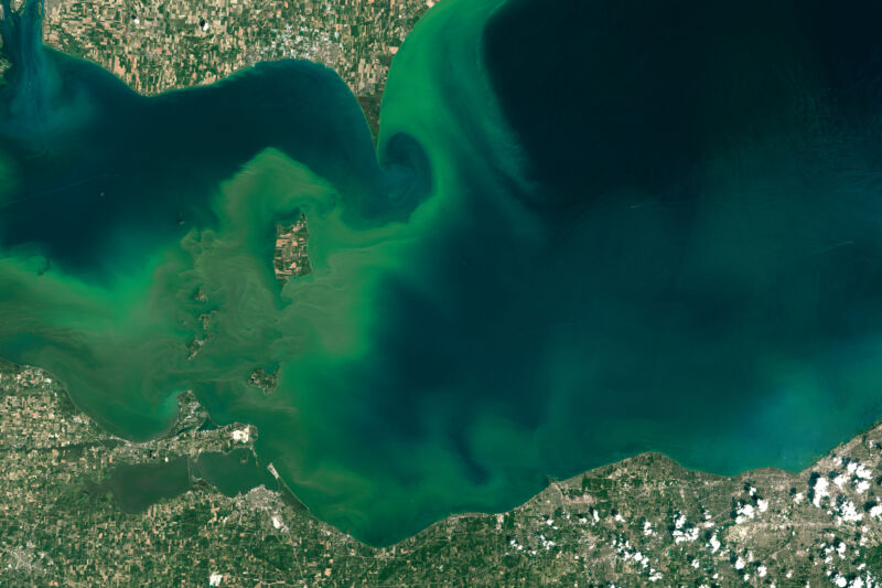 Satellite photo of an algal bloom in western Lake Erie, July 28, 2015.