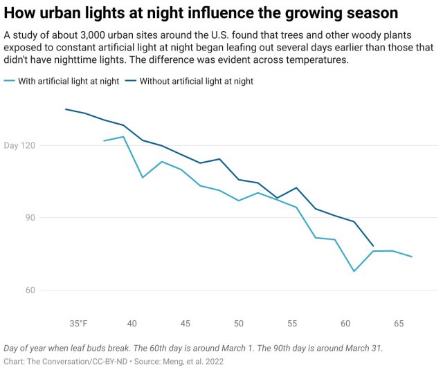 how-urban-lights-at-night-influence-the-growing-season-640x535.jpg