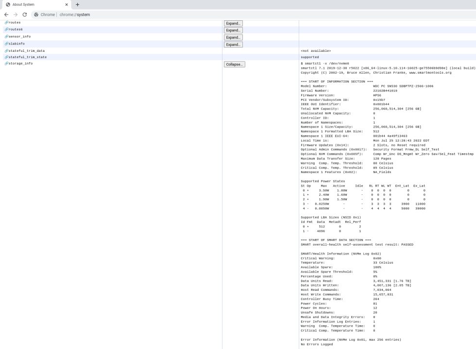 A quick search of the storage model name told me that this Chromebook has an NVMe PCIe 3.0 x4 SSD from Western Digital. 