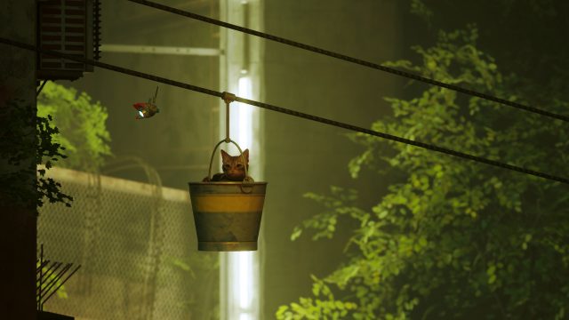 Game Review Stray Redefines The Adventure Genre With A Cat S Eye View Ars Technica