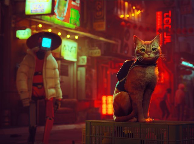 Cyberpunk Bedroom Cat Night Sky Animated Background Video 