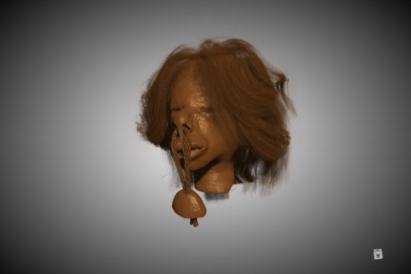 3D-rendered image of the micro-CT scan of a <em>tsantsa</em>, or shrunken head.