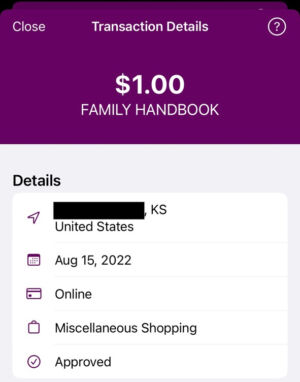 One of thousands of payments sent from Langhofer's site earlier this week, as viewed from the customer's Ally Bank app.