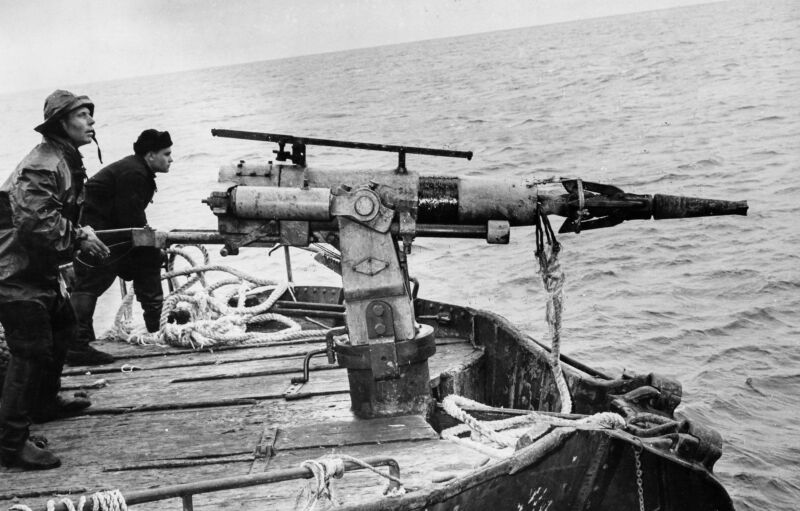 Soviet whalers manning mechanized harpoons in 1960.