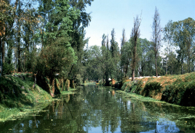 The Aztec canals at the floating gardens of Xochimilco, The land was constantly replenished with soil dredged from the bottom of the lake and is extremely fertile. 