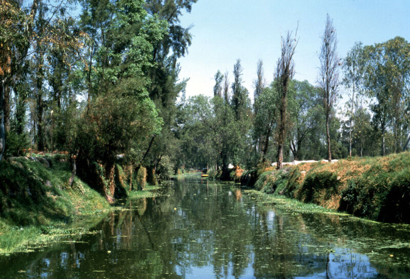 قنوات الأزتك في الحدائق العائمة في Xochimilco ، تم تجديد الأرض باستمرار بالتربة المجروفة من قاع البحيرة وهي خصبة للغاية. 