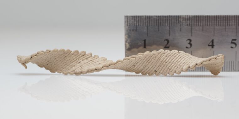 These self-morphing 3D wood shapes could be future of wood manufacturing thumbnail