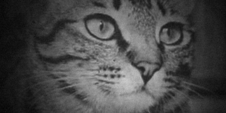 Ученые согнули лазерные лучи, чтобы создать это детальное изображение кошки