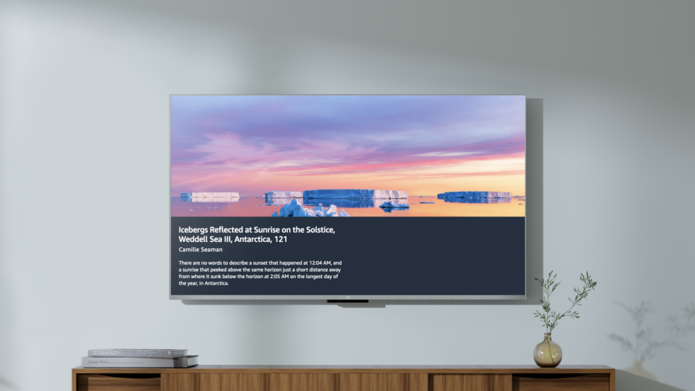 The TV has a gallery of images you can display and ask Alexa about. 