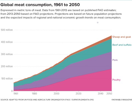 Global meat demand continues to rise with no signs of slowing down.  Much of the increase is coming from middle-income countries, where consumers are using their increasing wealth to put more meat on their plates.