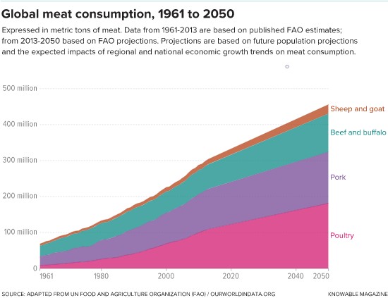 La demanda mundial de carne continúa aumentando con pocas señales de desaceleración.  Gran parte del aumento proviene de los países de ingresos medios, donde los consumidores utilizan su creciente riqueza para poner más carne en sus platos.