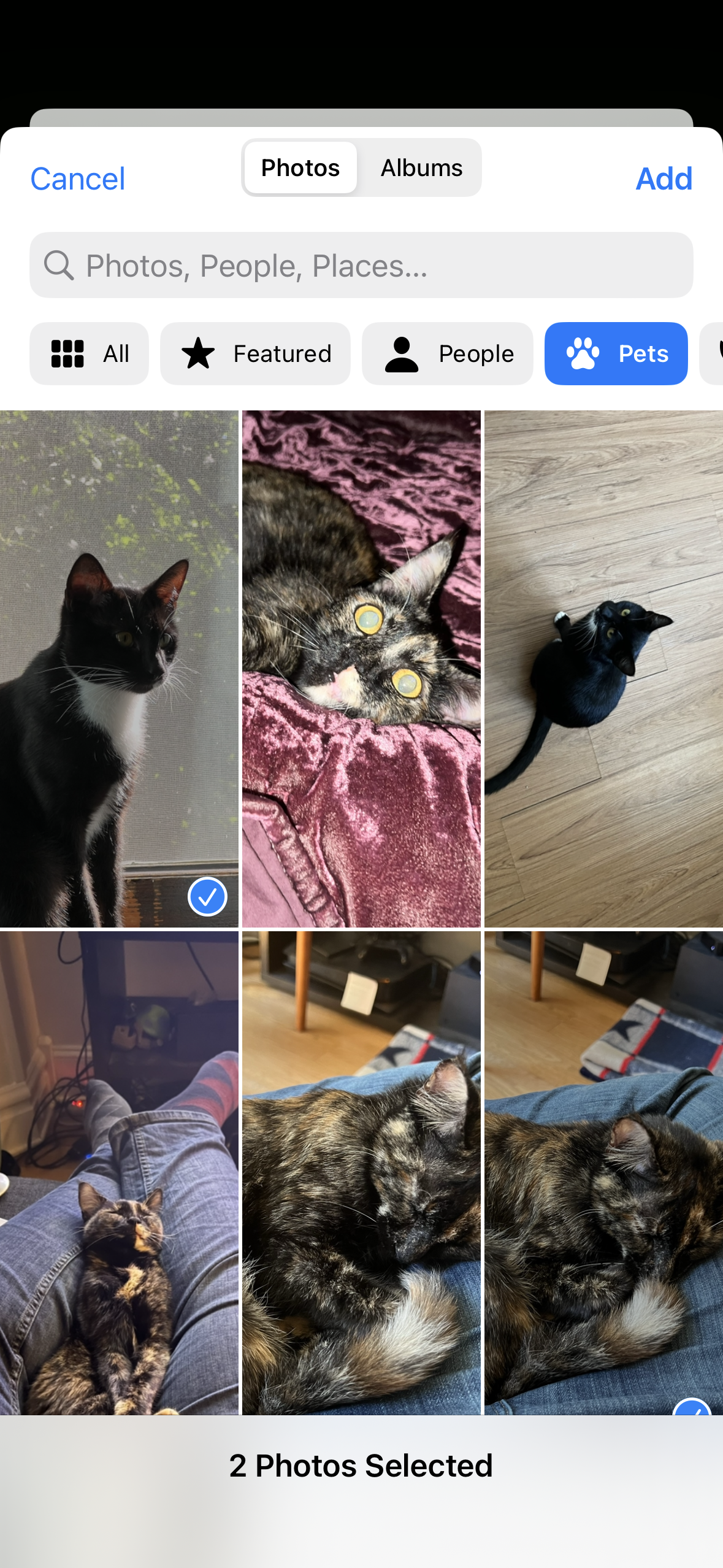 An interface with a gridded list of photos and top-level category picker
