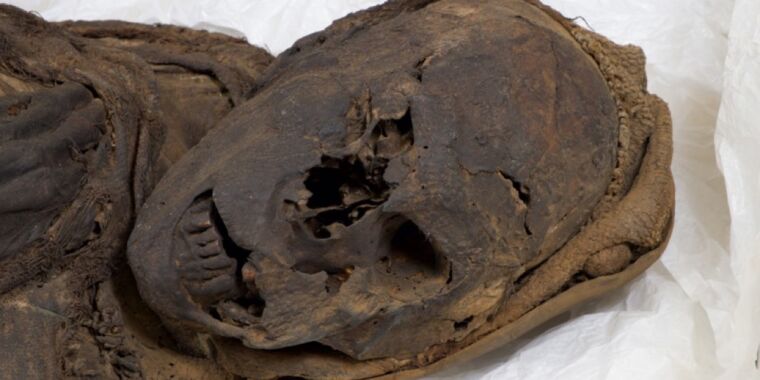 photo of The case of the murdered mummies: “virtual autopsy” reveals fatal injuries image