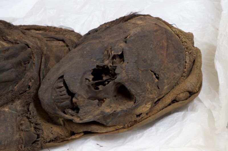 Face and upper body of one of two South American mummies that were likely murdered, based on a recent