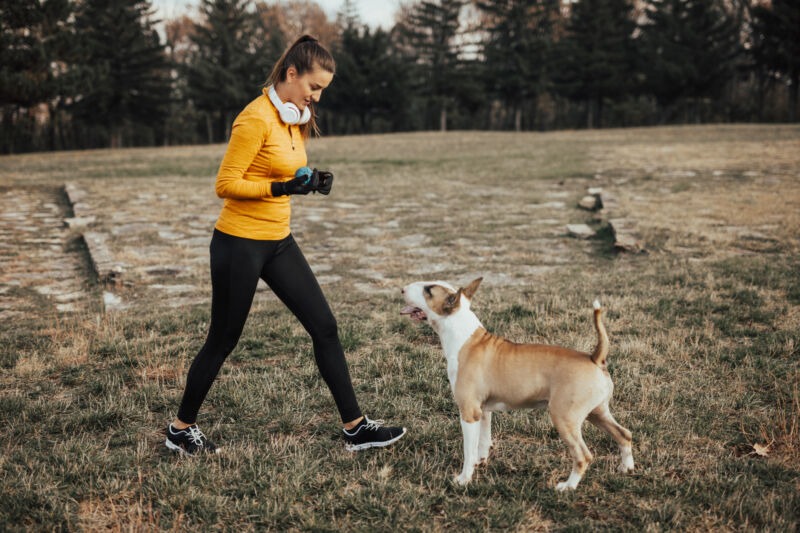 Teenager playing fetch with her dog