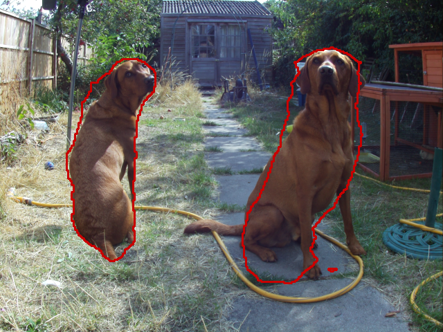 Two dogs outlined by a machine learning algorithm on Raspberry Pi input.