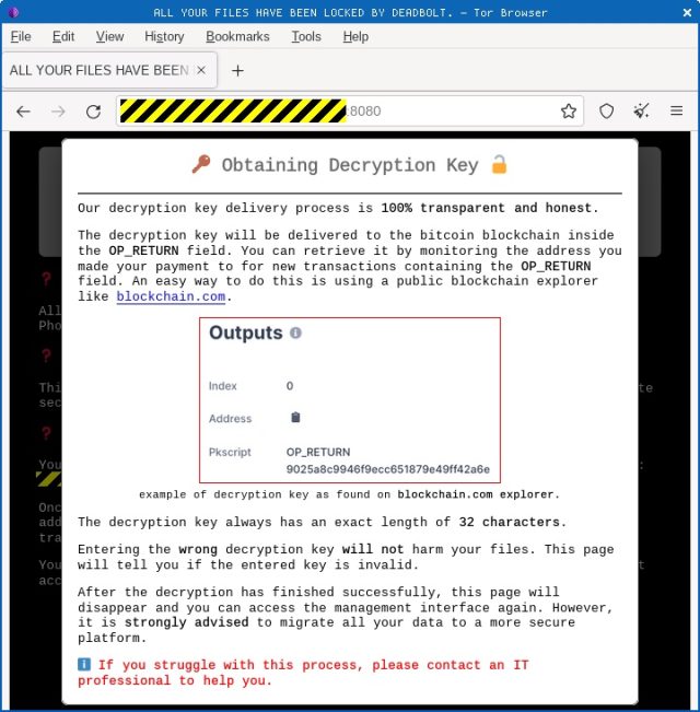 mega bypass decryption key