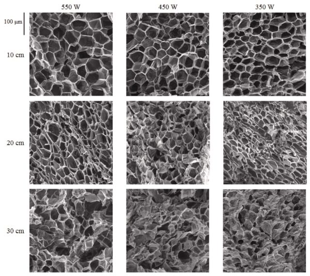 Scanning electron microscopy of expanded popcorns at different stages of puffing through infrared