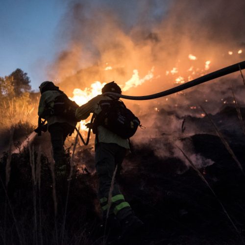 Forecasters predict wildfires, floods, severe heatwaves from incoming El Niño