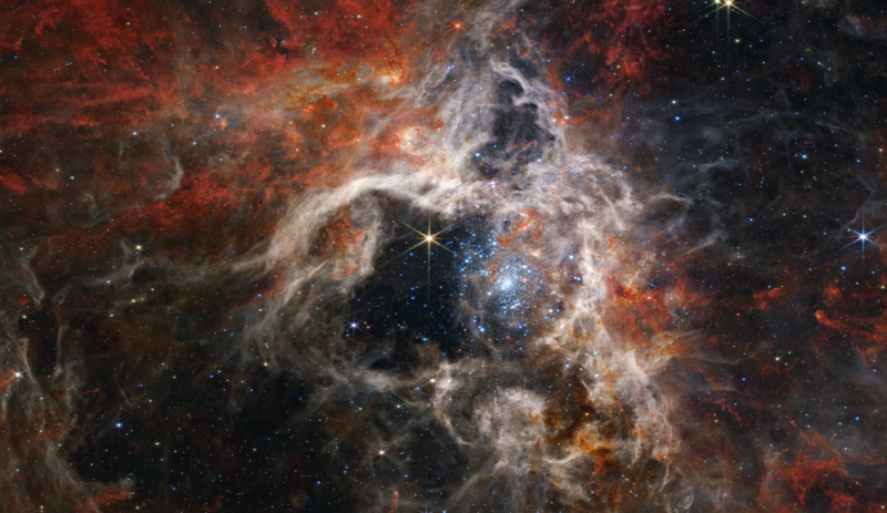 Webb’s Near-Infrared Camera displays the Tarantula Nebula star-forming region in a new light.