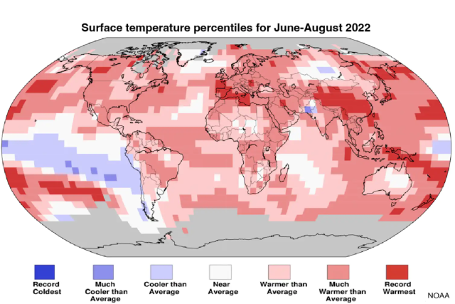 La temperatura global de la superficie terrestre y oceánica de junio a agosto de 2022 fue de 1,6 ° Fahrenheit (0,89 ° Celsius) por encima del promedio del siglo XX de 60,1 ° F (15,6 ° C).  Empató con 2015 y 2017 como el quinto más cálido en el récord de temperatura de 143 años.