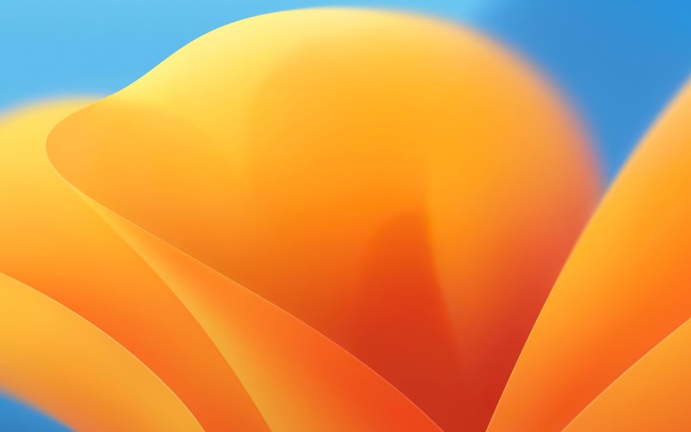 macos monterey dynamic wallpaper